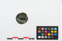 Foto von Bronzeknopf (NHMW-PRAE-024441)